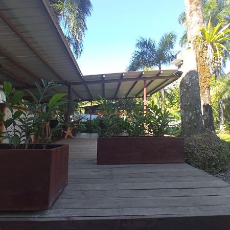 La Luciernaga Big Creek Bed & Breakfast Bocas Town Luaran gambar