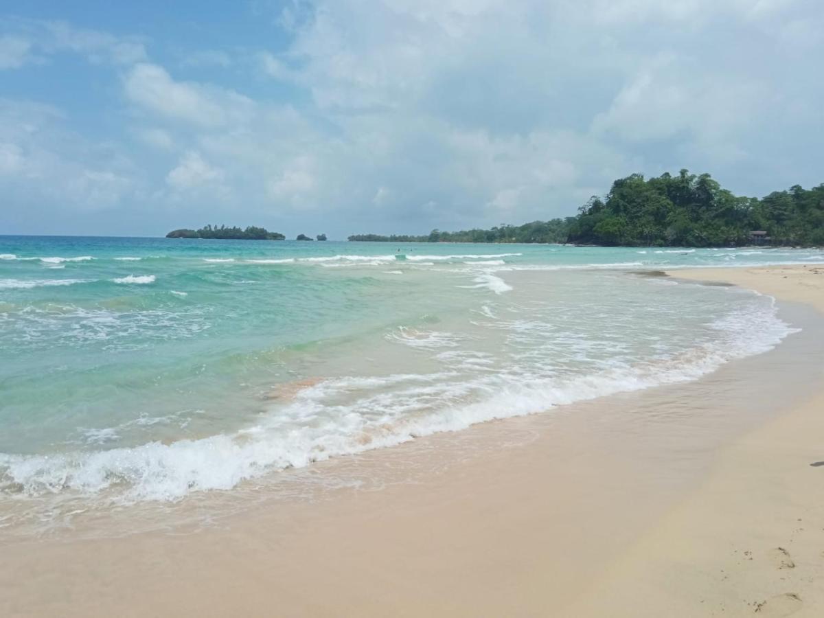 La Luciernaga Big Creek Bed & Breakfast Bocas Town Luaran gambar
